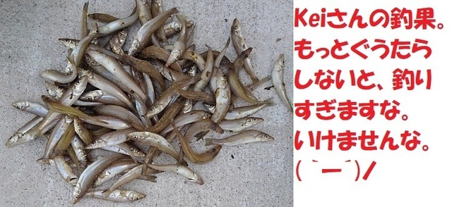 7.JPG