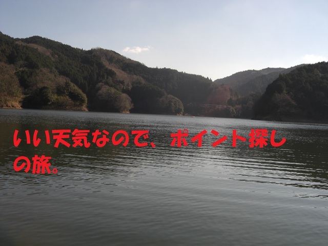 CIMG2951.JPG