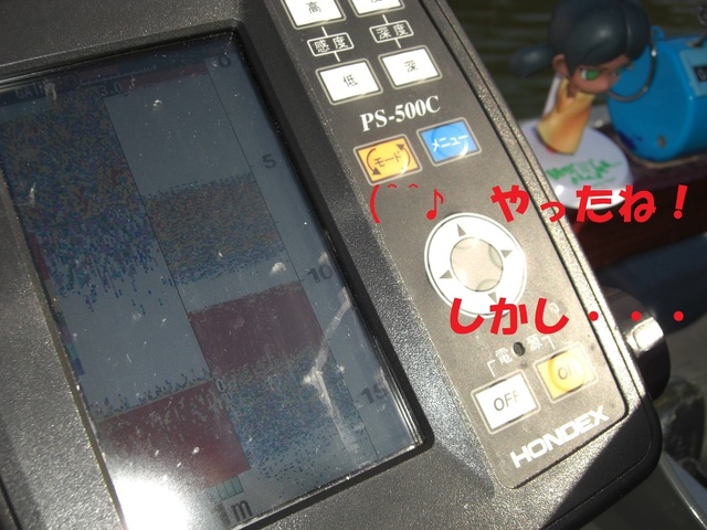 CIMG2952.JPG