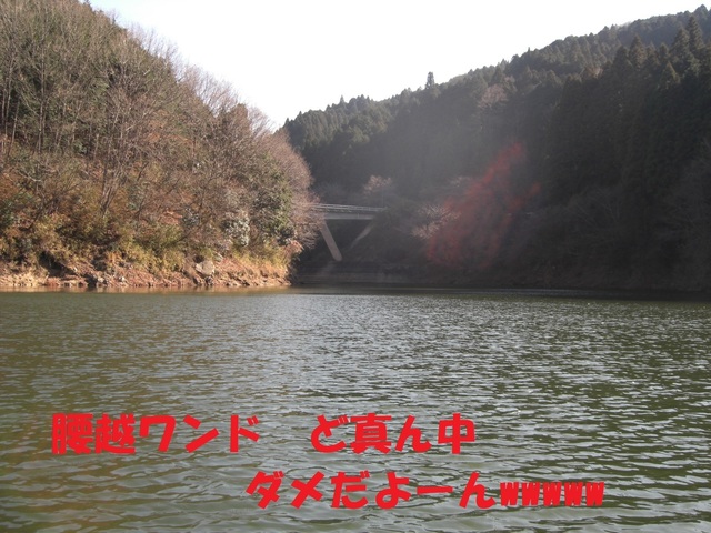CIMG2953.JPG