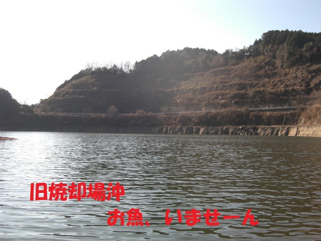 CIMG2954.JPG