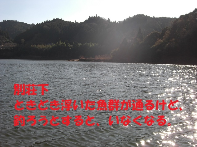 CIMG2955.JPG