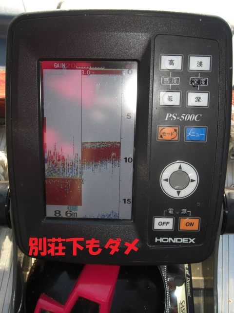CIMG2956.JPG