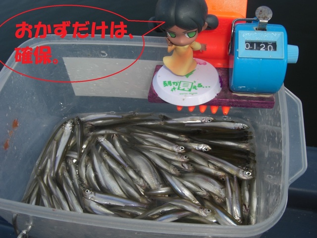 CIMG2958.JPG