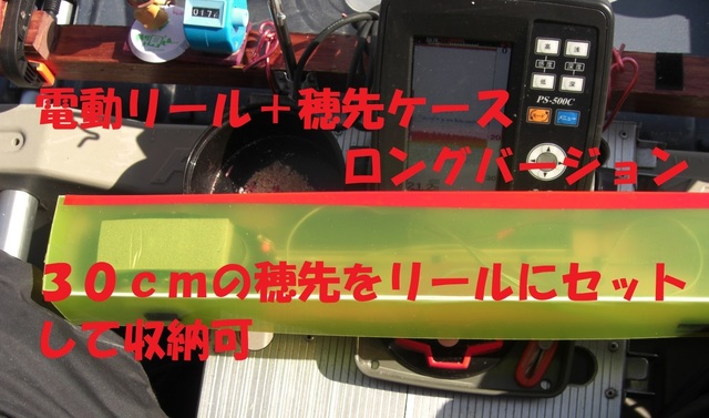 CIMG3156.JPG