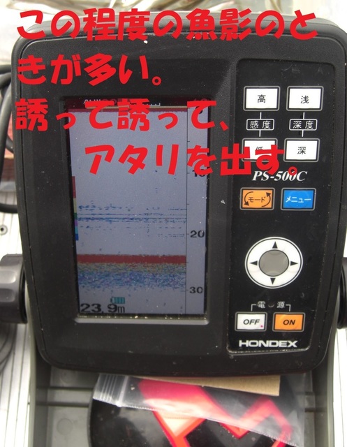 CIMG3159.JPG