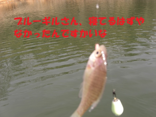 CIMG3202.JPG