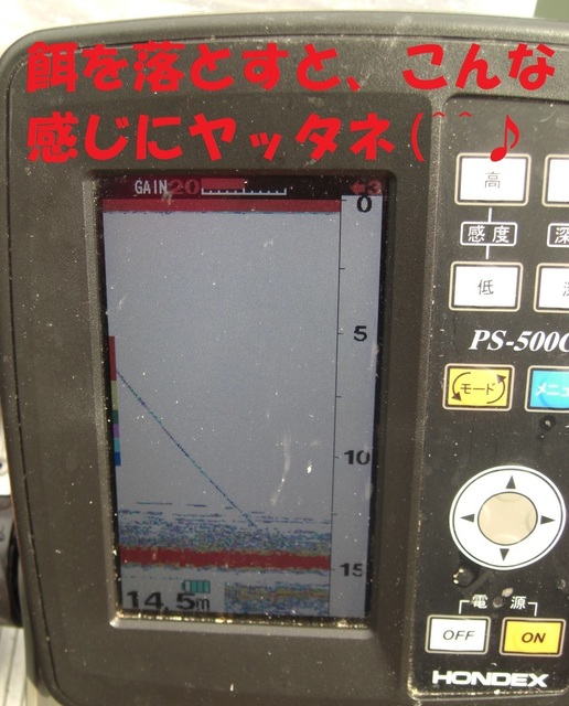 CIMG3203.JPG