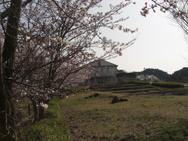 CIMG3470.JPG