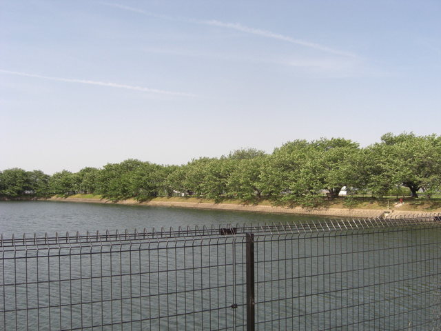 CIMG3670.JPG