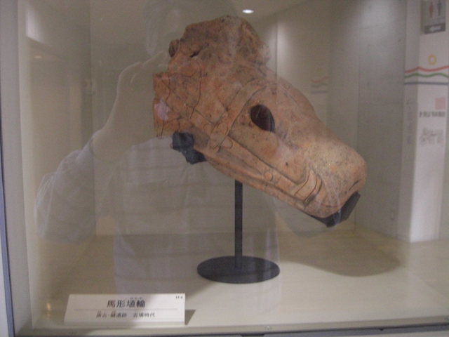 CIMG3677.JPG