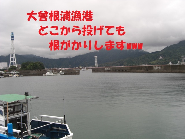 CIMG3811.JPG