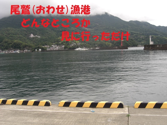 CIMG3813.JPG