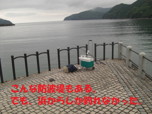 CIMG3822.JPG