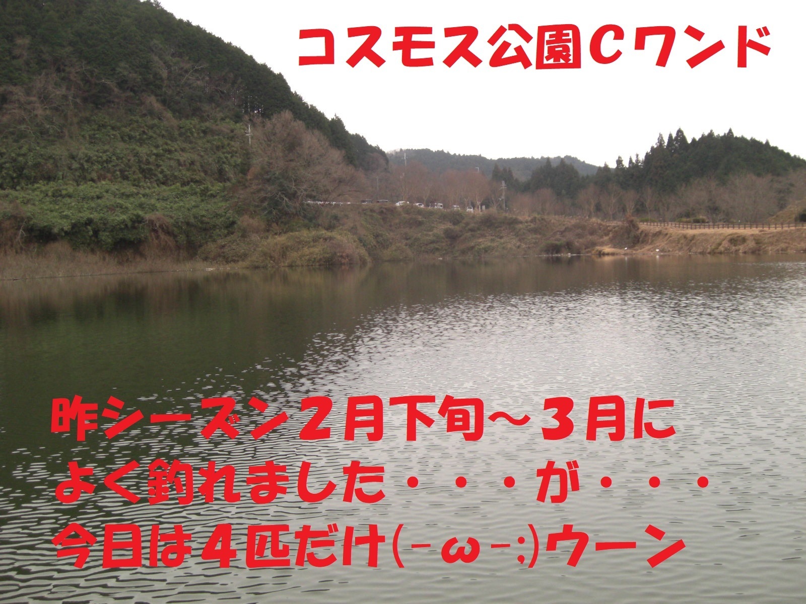 ポイントを求めてウロウロ 布目湖ワカサギ釣り 19 1 12 ぐうたら釣り日記