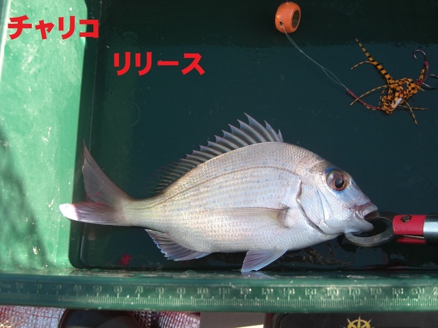 CIMG5016.JPG