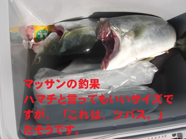 CIMG5025.JPG