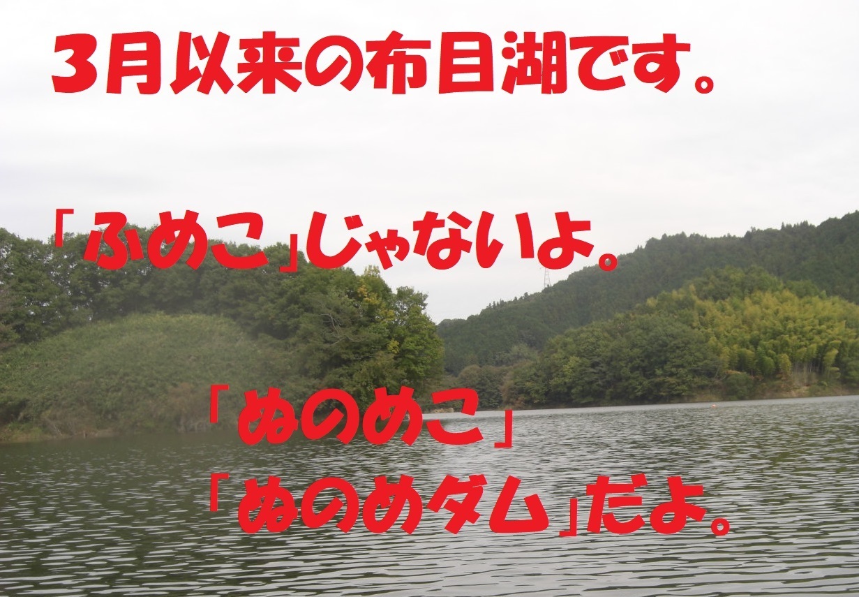 布目ダムワカサギ探査 10 28 ぐうたら釣り日記