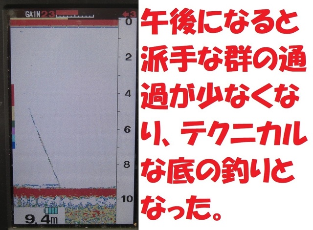 CIMG6187.JPG