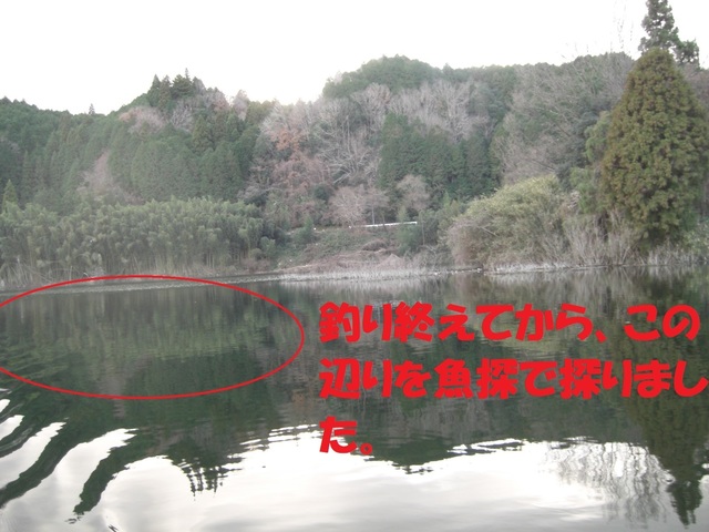 CIMG6199.JPG