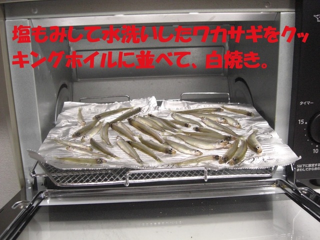 CIMG6444.JPG
