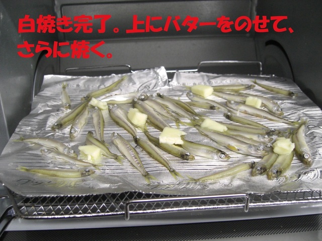 CIMG6446.JPG