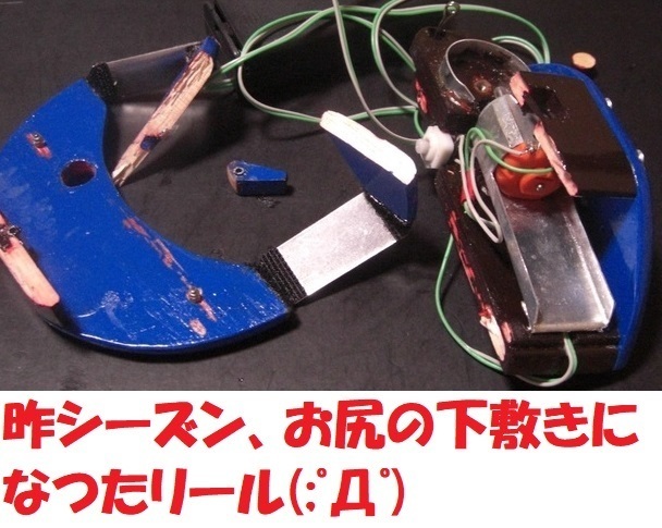 CIMG6694-thumbnail2.jpg
