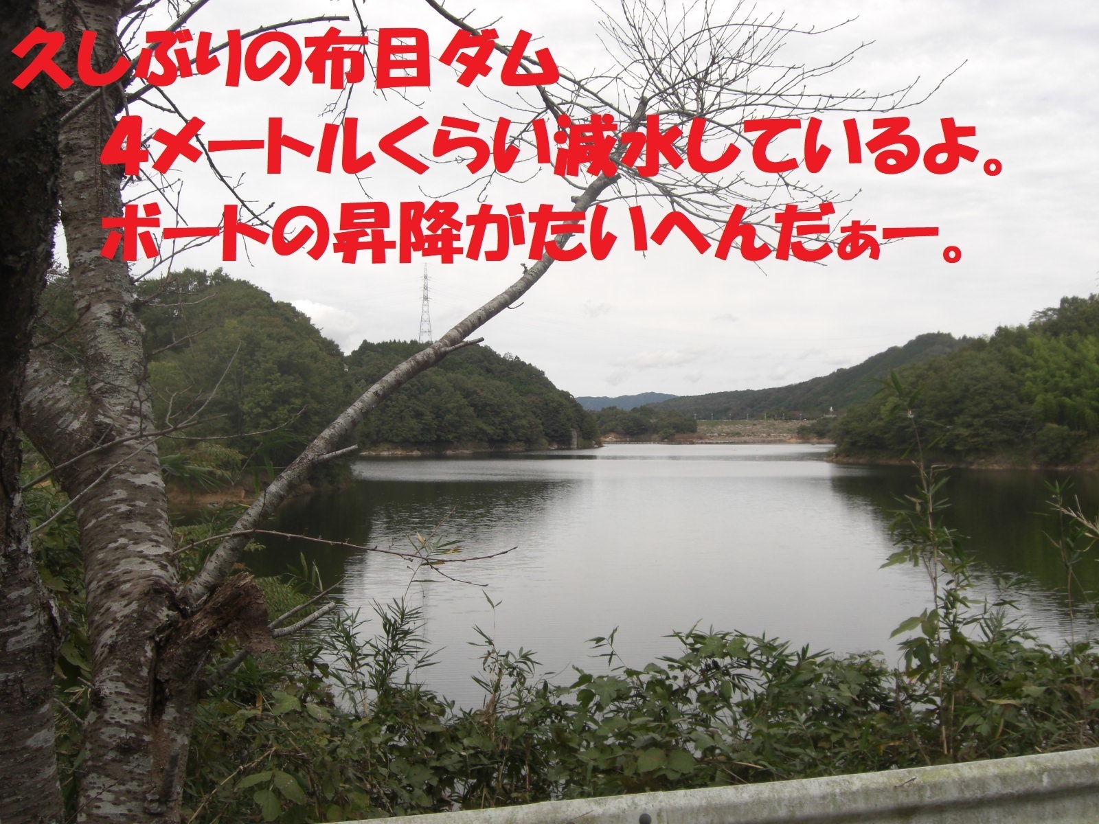 布目ダム ワカサギ探査 21 10 27 ぐうたら釣り日記