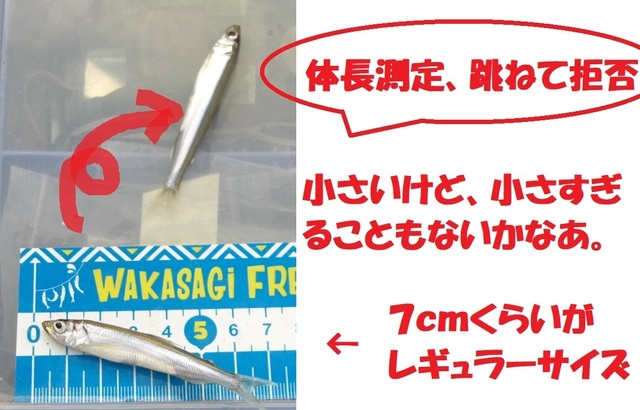 CIMG6869.JPG