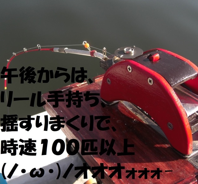 CIMG6879.JPG