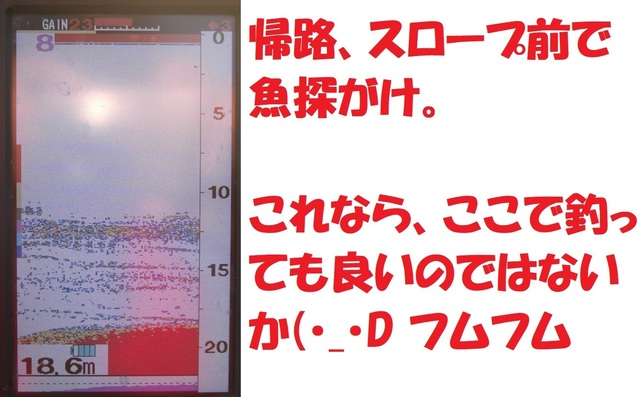 CIMG6908.JPG