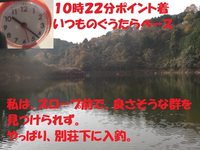 CIMG6910.JPG