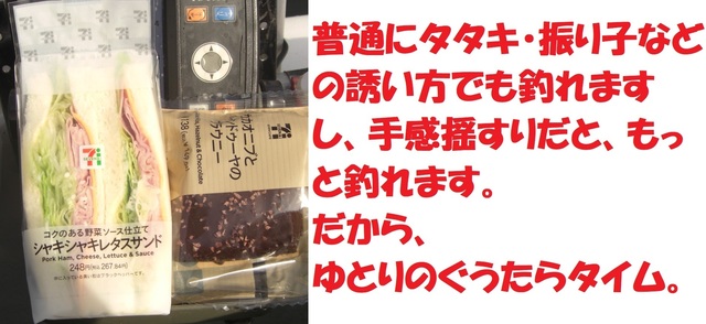 CIMG6918.JPG