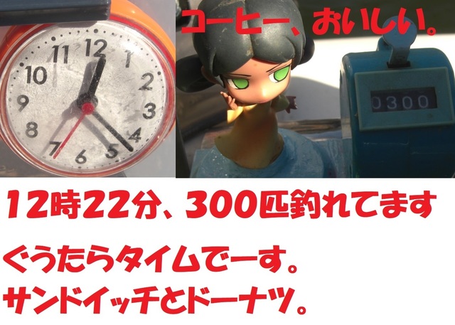 CIMG6950.JPG