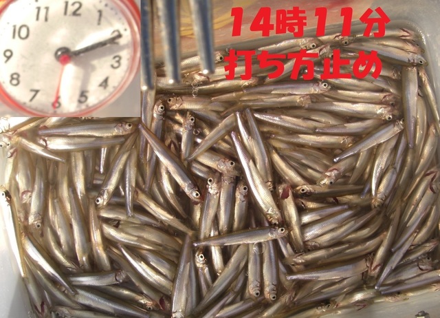 CIMG6960.JPG