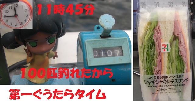 CIMG7107.JPG