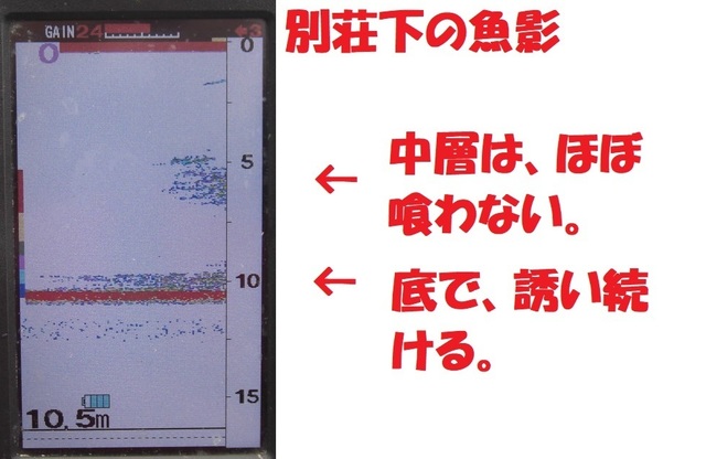 CIMG7109.JPG