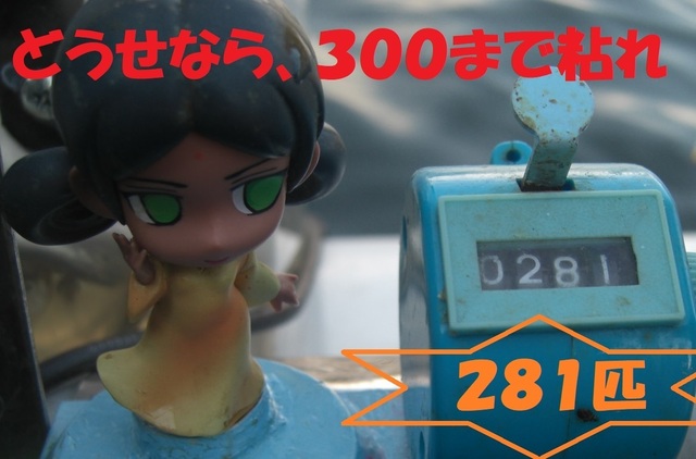CIMG7113.JPG