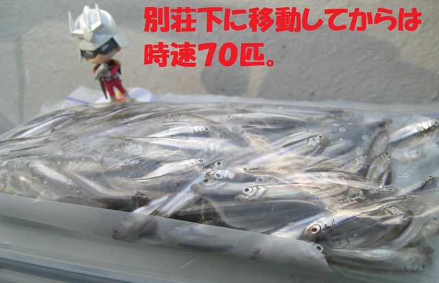 CIMG7114.JPG