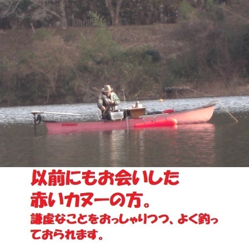 CIMG7115.JPG