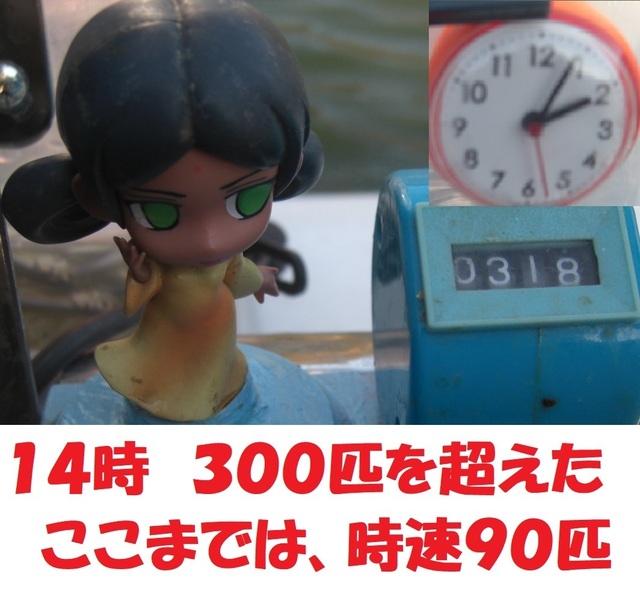 CIMG7136.JPG