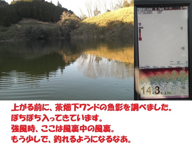 CIMG7142.JPG