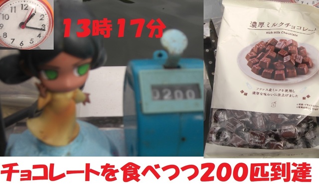 CIMG7152.JPG
