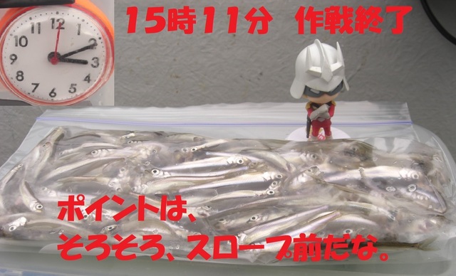 CIMG7157.JPG
