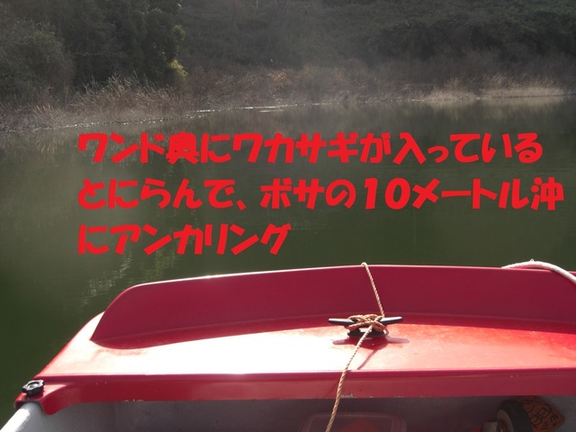 CIMG7410.JPG