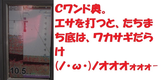 CIMG7411.JPG