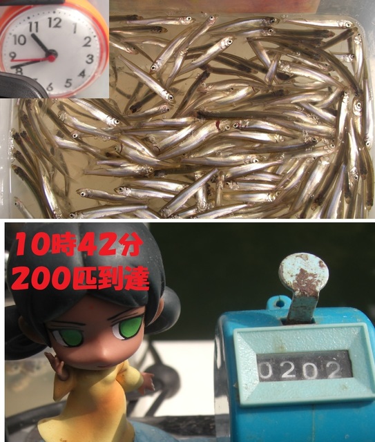 CIMG7416.JPG