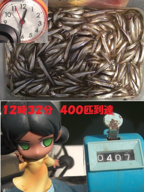 CIMG7423.JPG