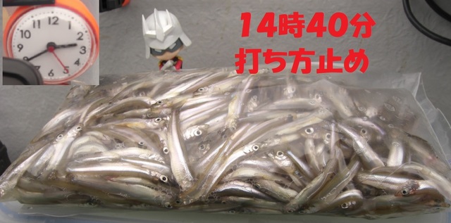CIMG7431.JPG