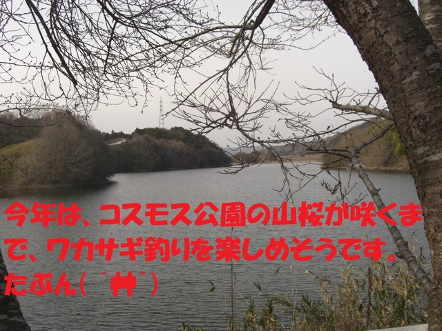 CIMG7432.JPG
